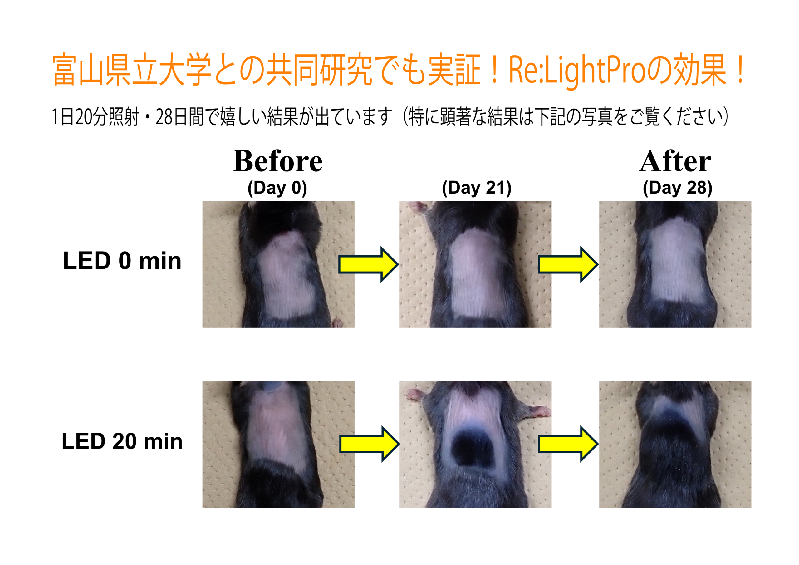 ビフォーアフター比較